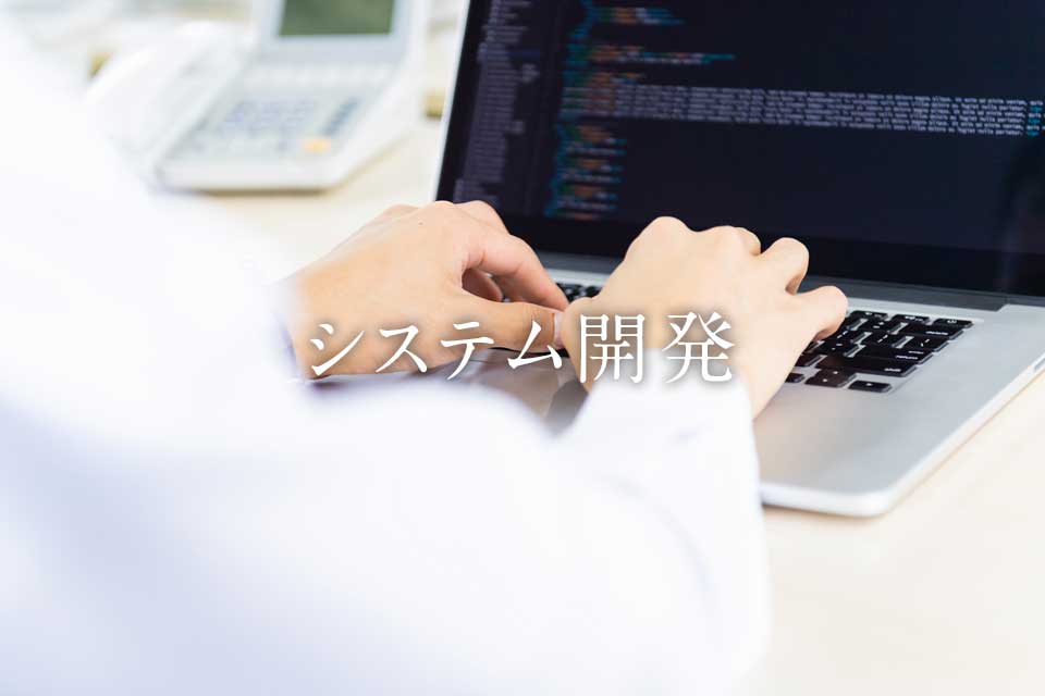 事業分野 - システム開発 image