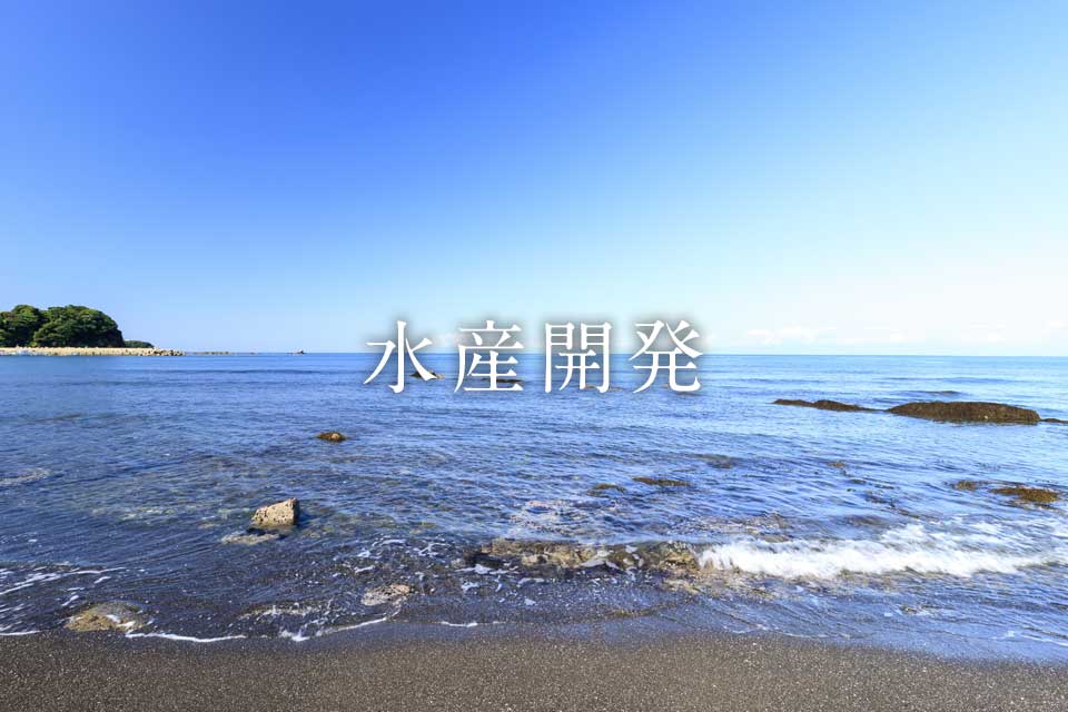 事業分野 - 水産開発 image